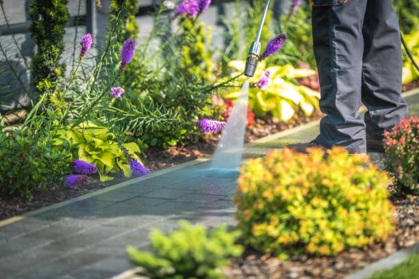 Reliable Mansura, LA Pressure Washing Services Solutions